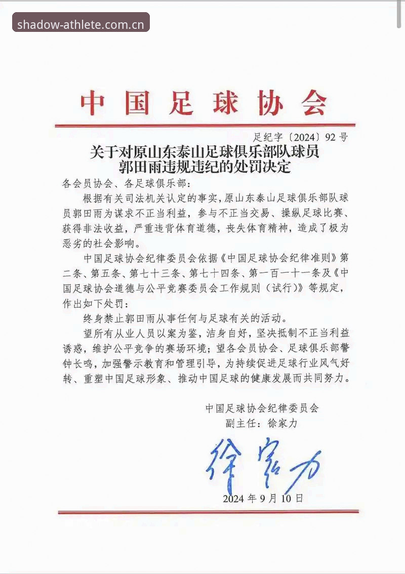 幻影体育怎么下载攻略 中国足协第三批禁足名单详解:65人受罚背后的足球乱象